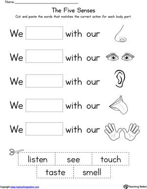 Kindergarten Human Body Printable Worksheets | MyTeachingStation.com