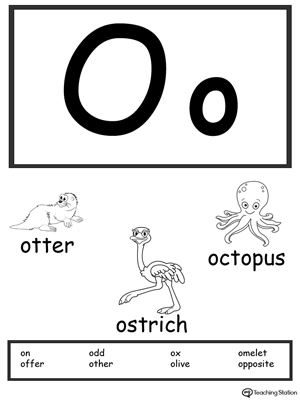 Recognize the sounds and letters at the beginning of words with this Letter O Printable Alphabet Flash Cards.