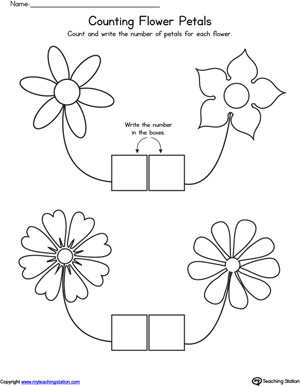 Learning Colors and Tracing Flowers Worksheet | MyTeachingStation.com