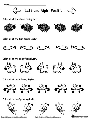 Left and Right directional position printable worksheet using the direction the animal is facing.