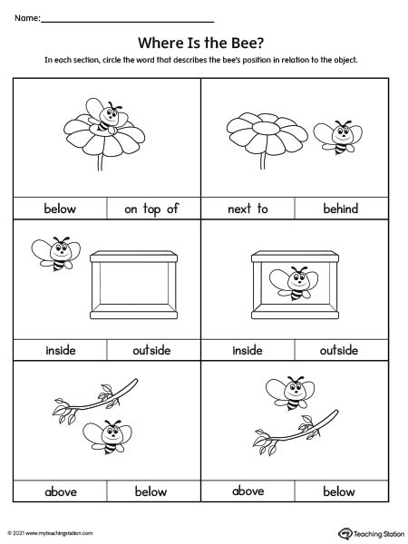 Use the correct positional word to describe the position of the bee in this preschool positional word worksheet.